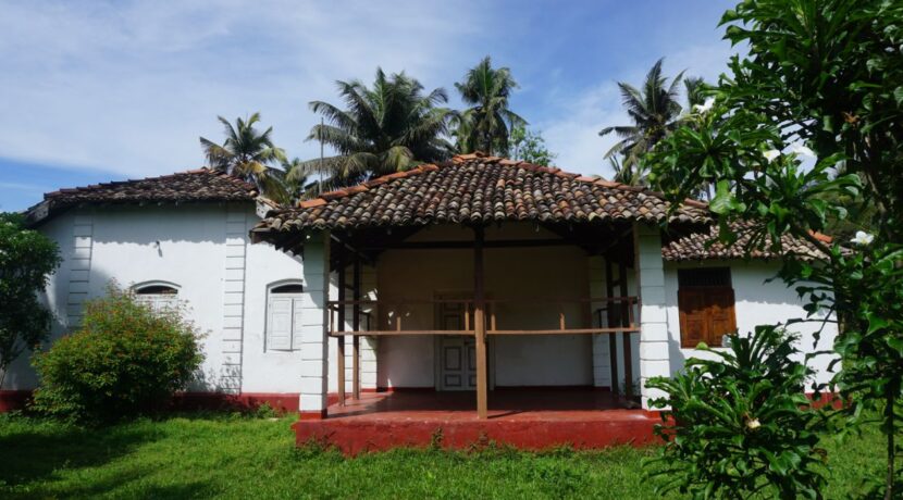 DSC02040