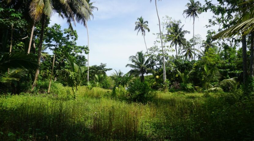 DSC02049