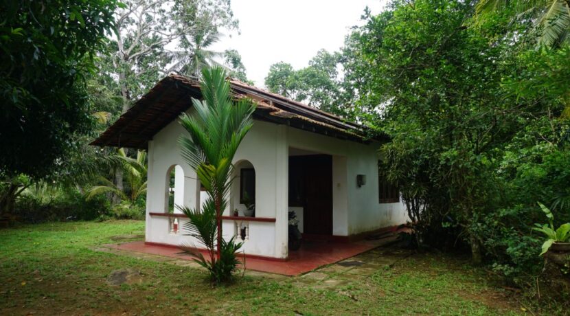 DSC02153