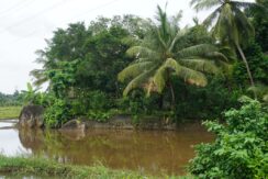 DSC02162