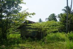 DSC02421