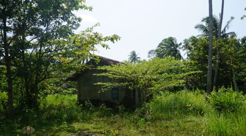 DSC02421