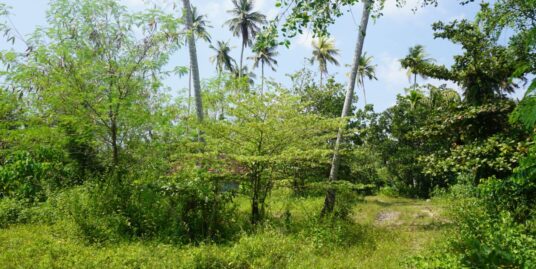 Welhengoda – large land for sale