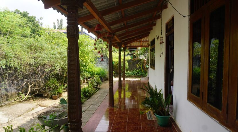 DSC02601