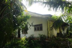 DSC02884