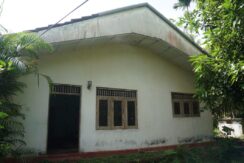 DSC02891