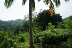 DSC03008