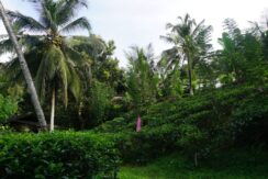 DSC03031