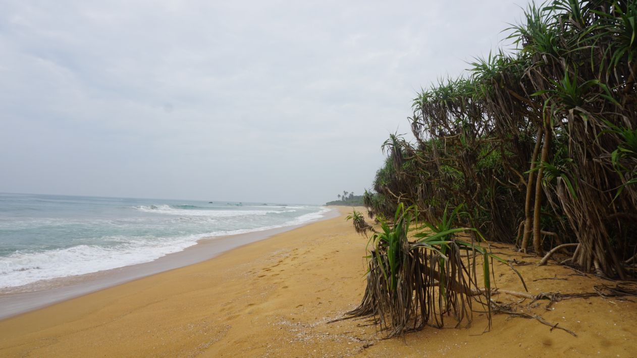 Rathgama 190 perch beach front land