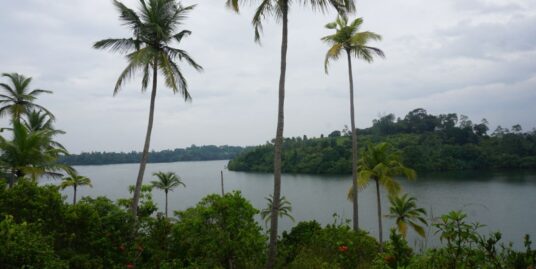 Rathgama lake 260 perch land for sale