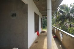 DSC03303
