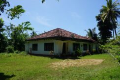 DSC01429