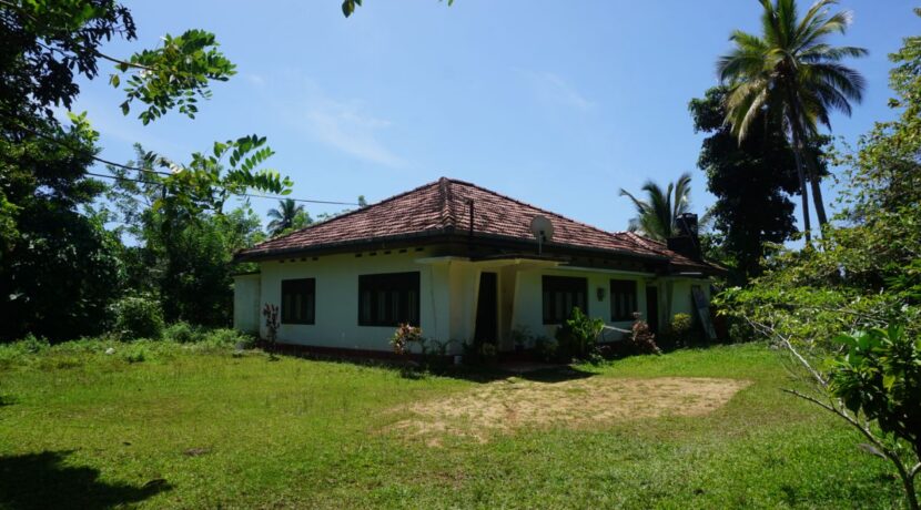 DSC01429