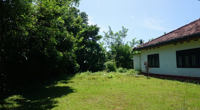 DSC01430