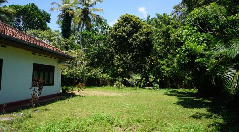 DSC01433