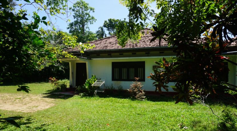DSC01435