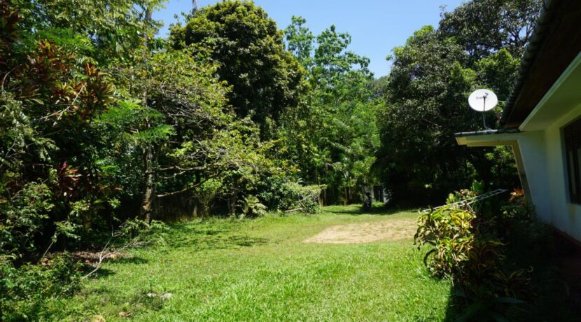 DSC01442