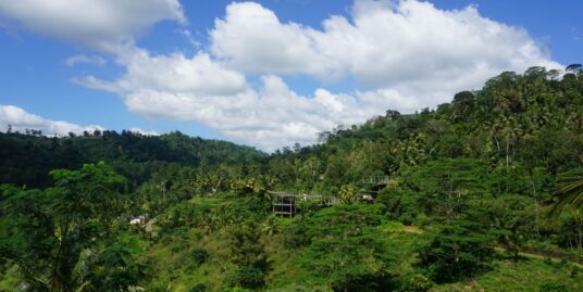 Deniyaya tea estate for sale