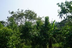 DSC04322