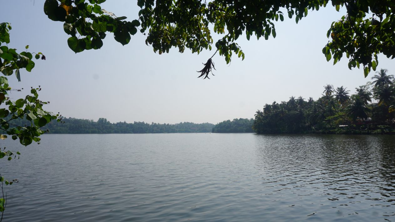 Koggala lake elevated land for sale