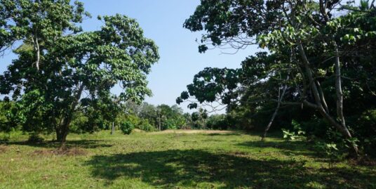 Vacant land available 104 perch with paddy field views