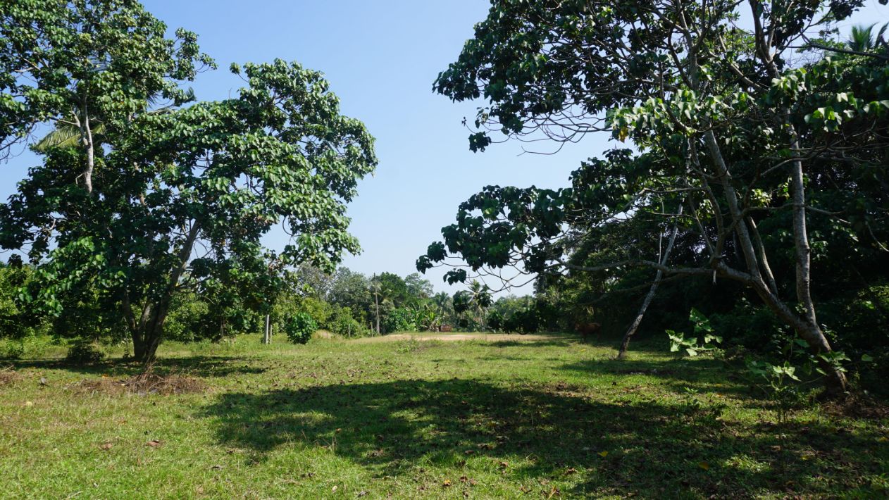Vacant land available 104 perch with paddy field views