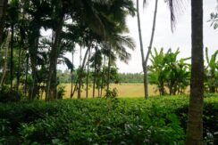 DSC04852