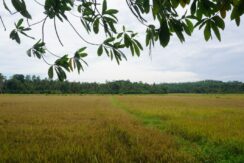DSC04860