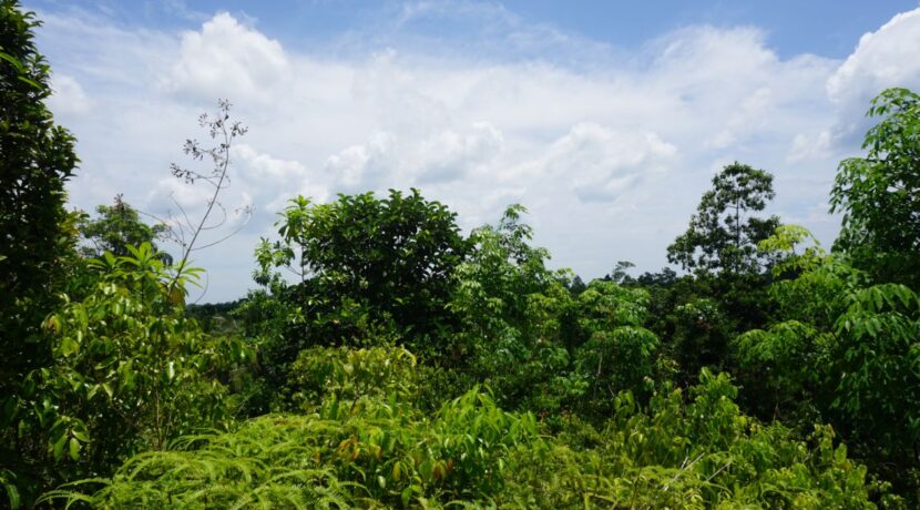 DSC05438