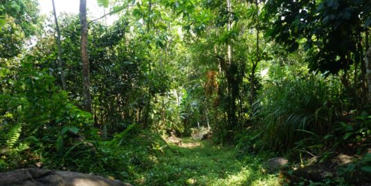 Hinatigala Vacant Land with Amazing Jungle Views