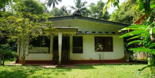 130 Perch Property Near Galle Town