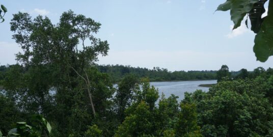 Large property close to Koggala Lake