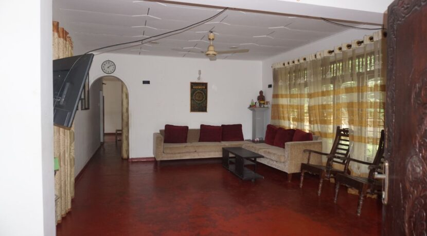 DSC01857