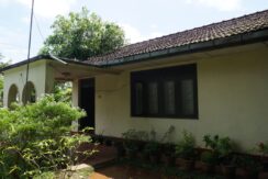 DSC03547
