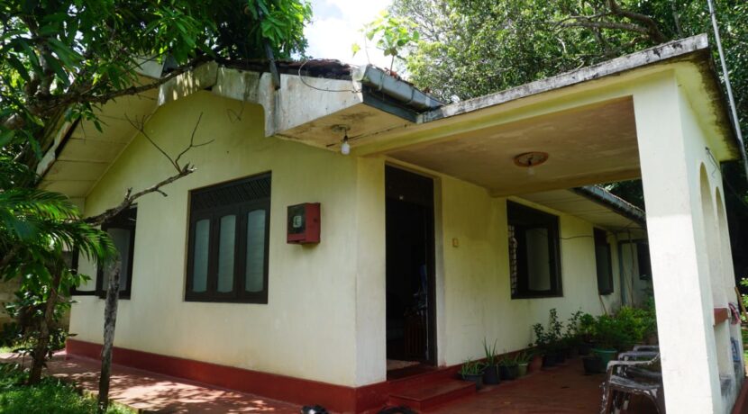 DSC03550