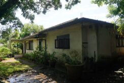 DSC03560