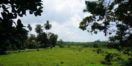 Local style home with great views and potential