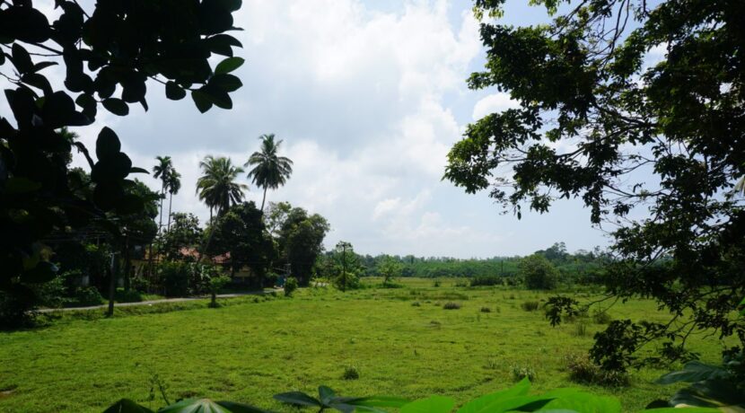 DSC05915