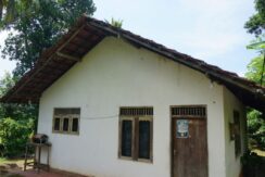 DSC05924