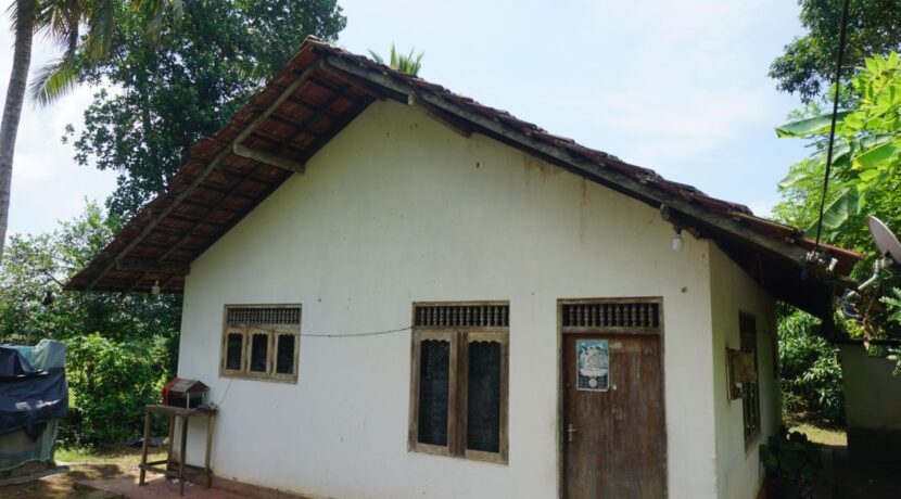 DSC05924