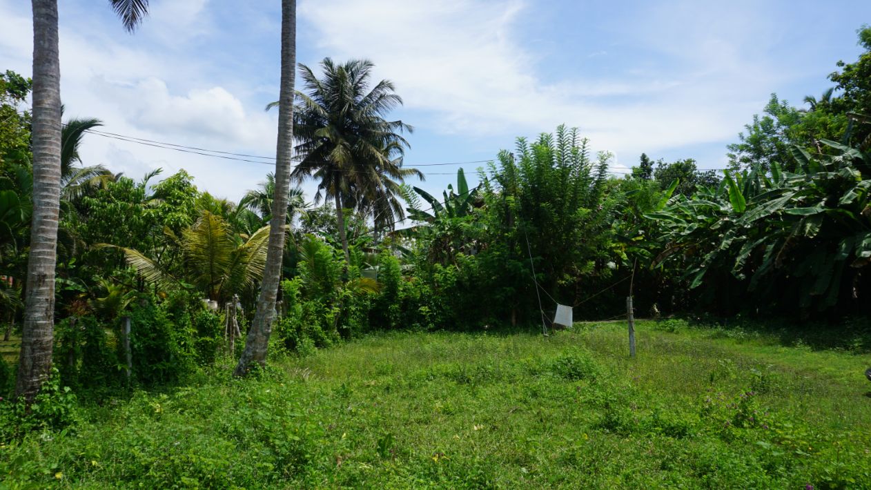 15 Perch land in Midigama walkable distance to the beach