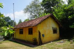 DSC06100