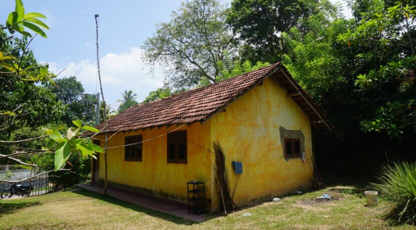 DSC06100