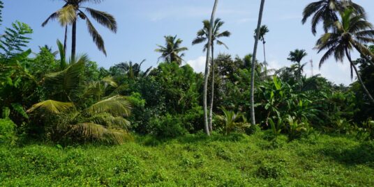 Ahangama Bare land, walkable distance to the beach