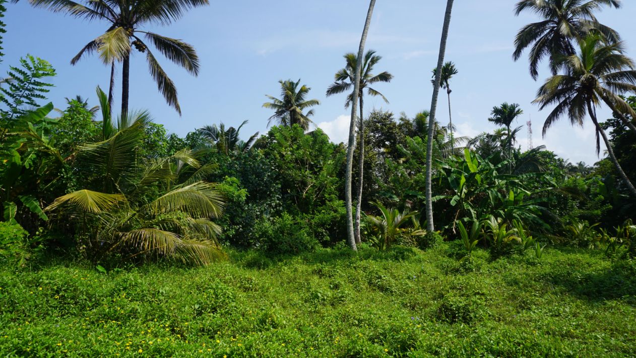 Ahangama Bare land, walkable distance to the beach