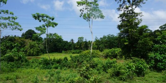 Inland Ahangama paddy view land