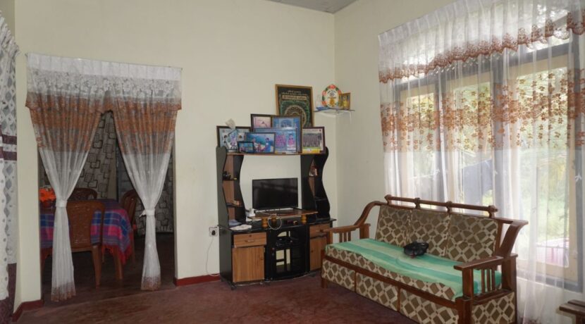 DSC06559
