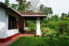 DSC07075