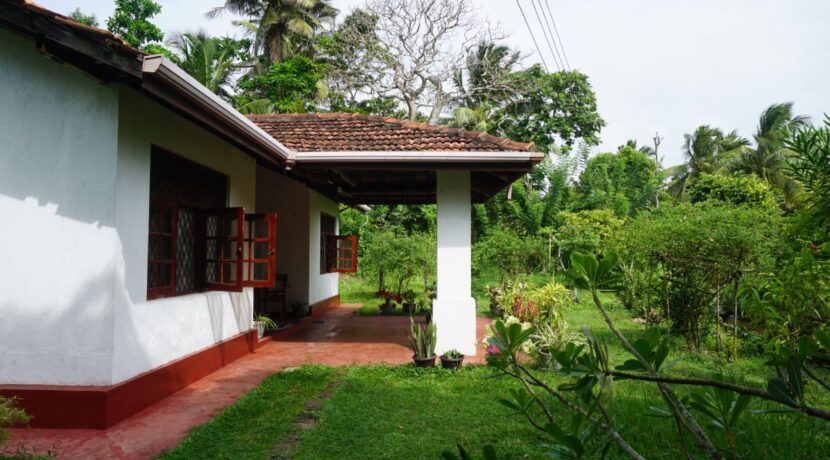 DSC07075