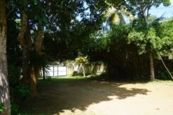DSC07617